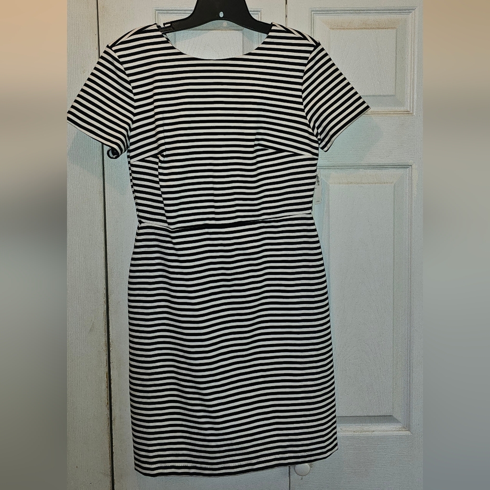 Casual, work/fun dress